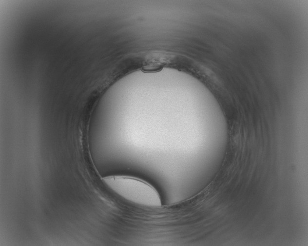 X0000073400315200607280941