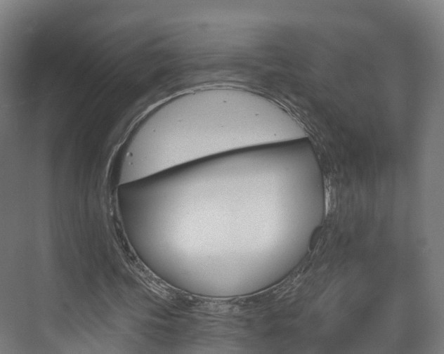 X0000073400339200607280940