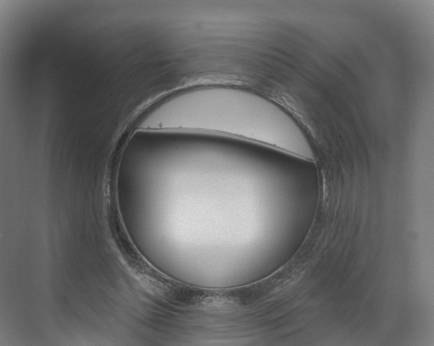 X0000073400348200607280940