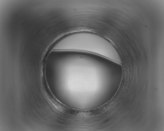 X0000073400350200607280940