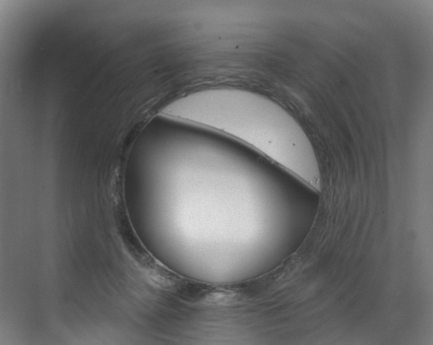 X0000073400364200607280941