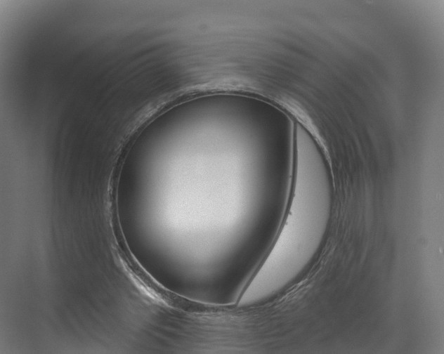 X0000073400389200607280940