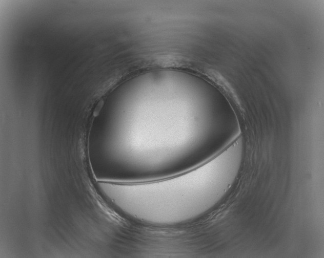 X0000073400393200607280940