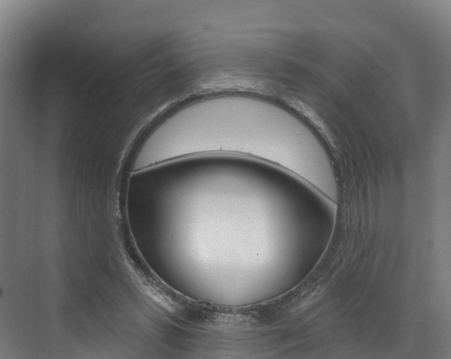 X0000073400399200607280940
