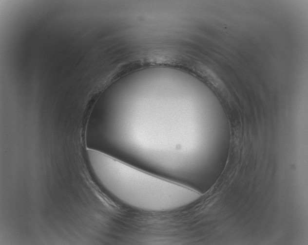 X0000073400401200607280940