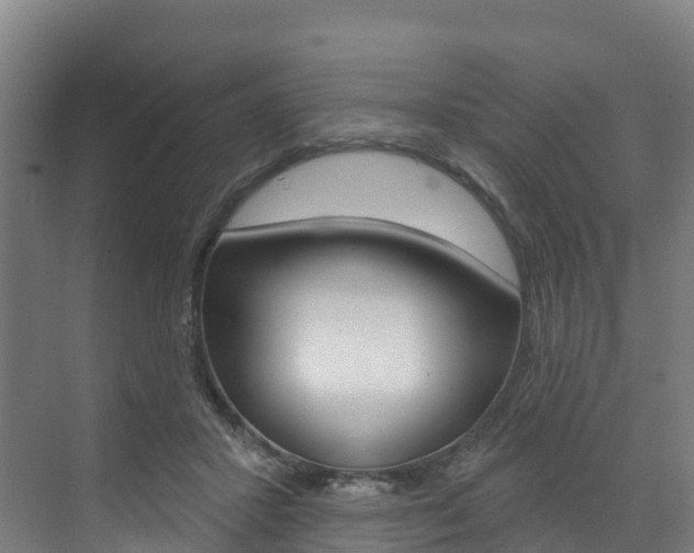 X0000073400407200607280940