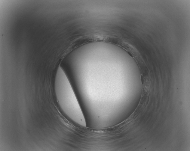 X0000073400409200607280940