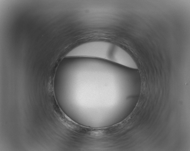 X0000073400411200607280940