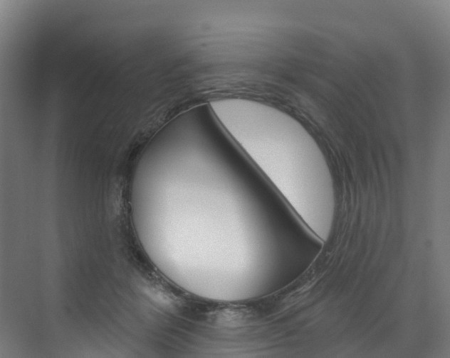 X0000073400412200607280940