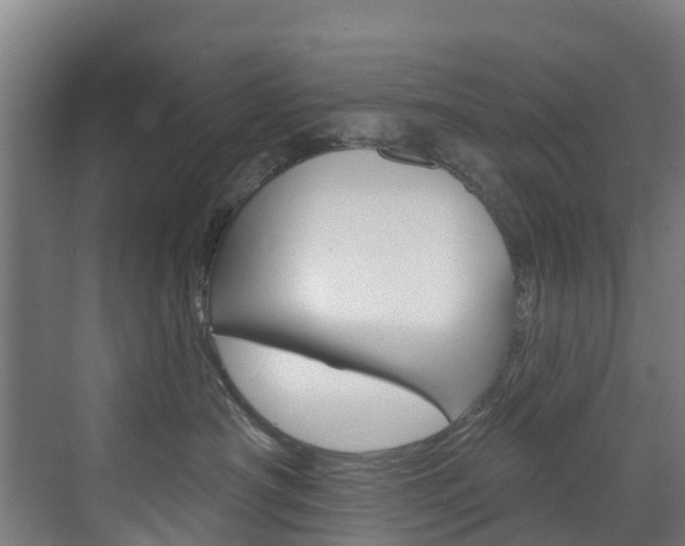 X0000073400430200607280939