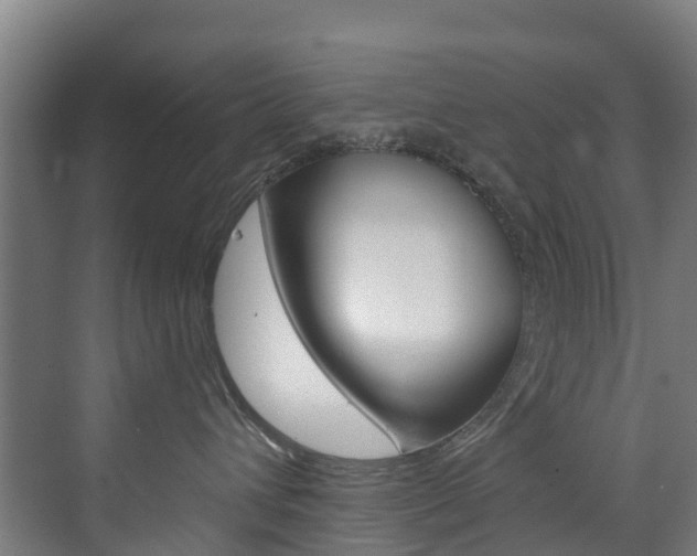 X0000073400432200607280939
