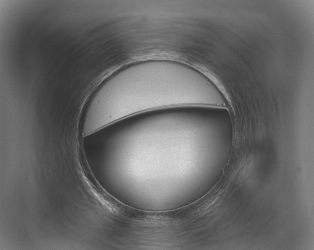 X0000073400437200607280939