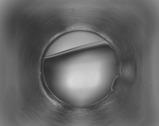 X0000073400438200607280939