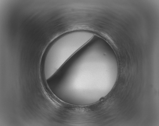 X0000073400439200607280939
