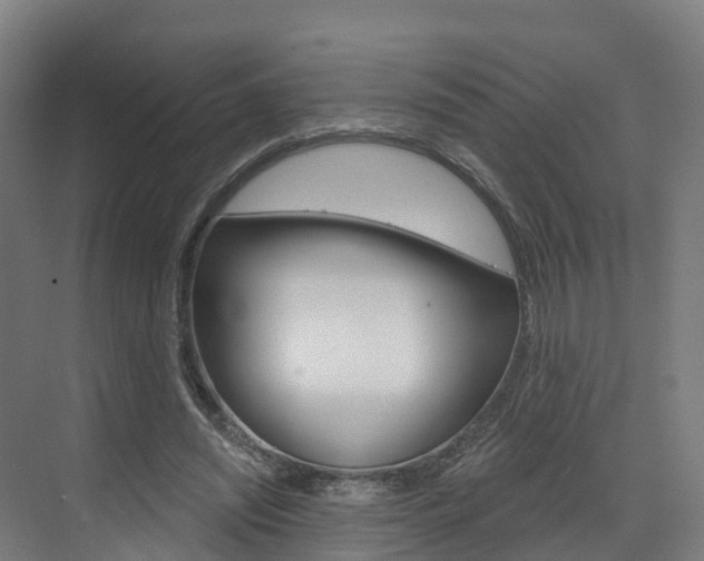 X0000073400444200607280939