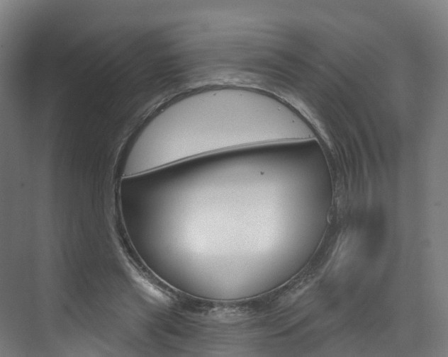 X0000073400445200607280939