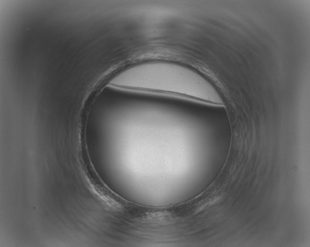 X0000073400446200607280939