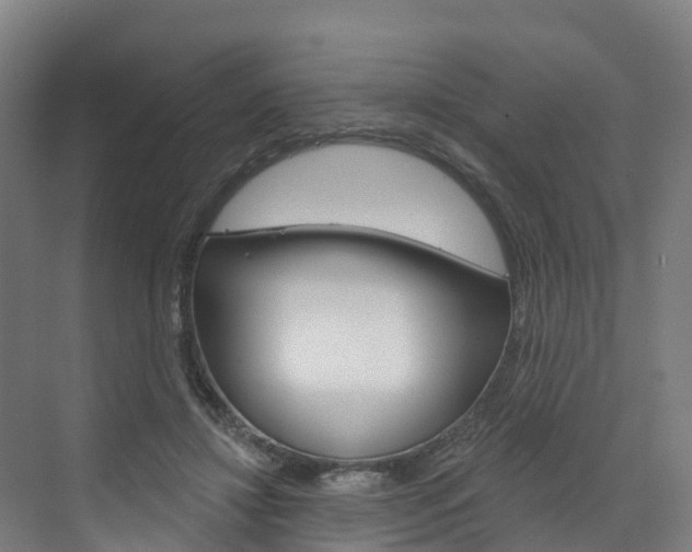 X0000073400452200607280939
