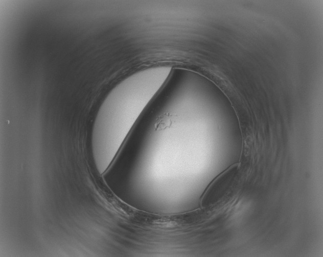 X0000073400454200607280939