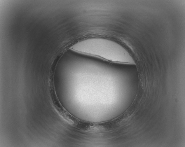X0000073400455200607280939
