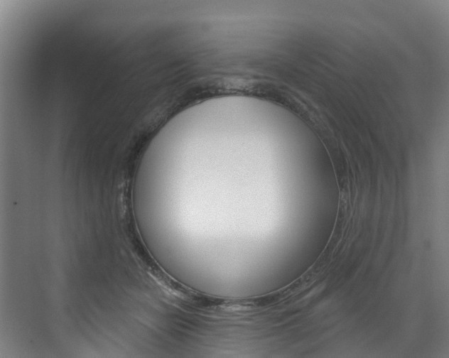 X0000073400462200607280939