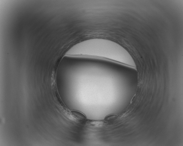 X0000073400478200607280939