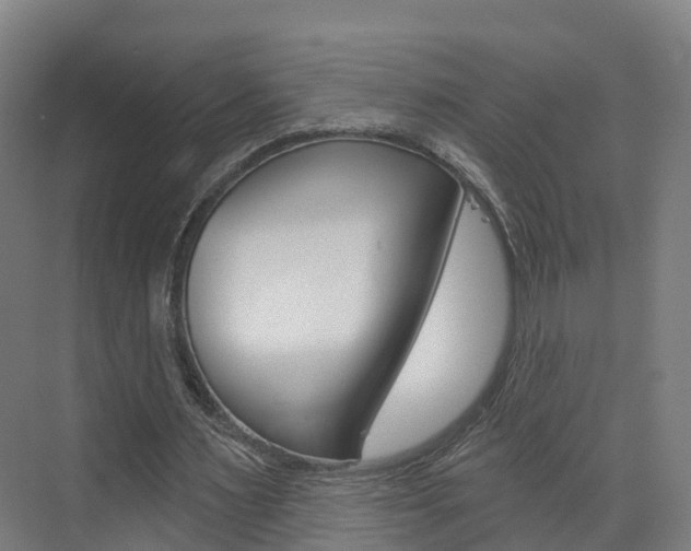 X0000073400483200607280939