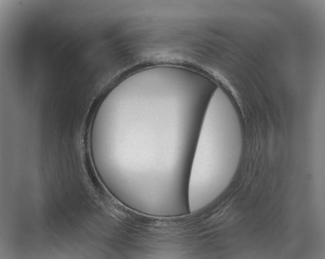 X0000073400487200607280939
