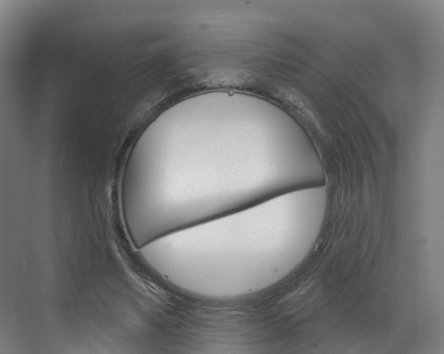 X0000073400491200607280938