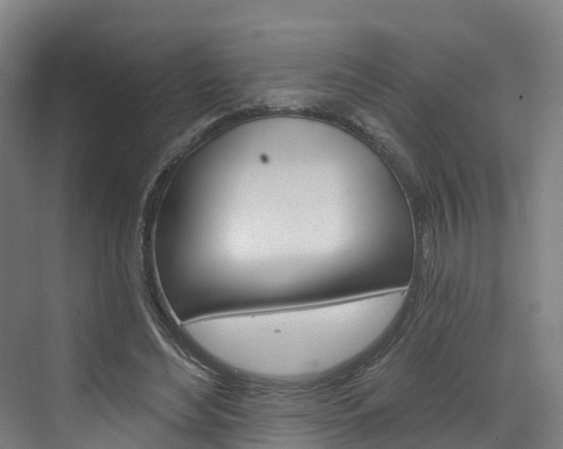 X0000073400492200607280938