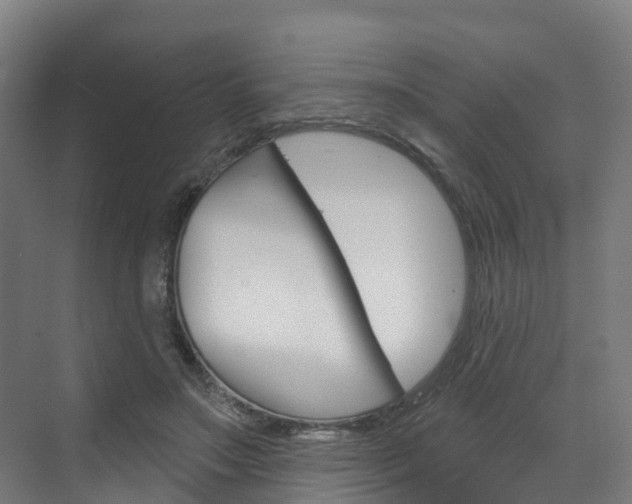 X0000073400499200607280938