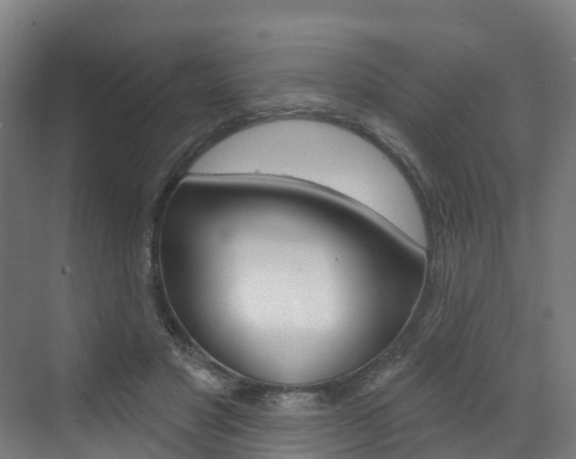 X0000073400501200607280938