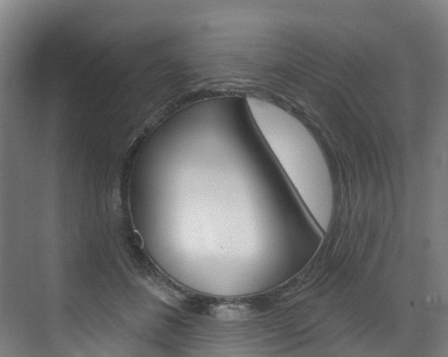 X0000073400508200607280938