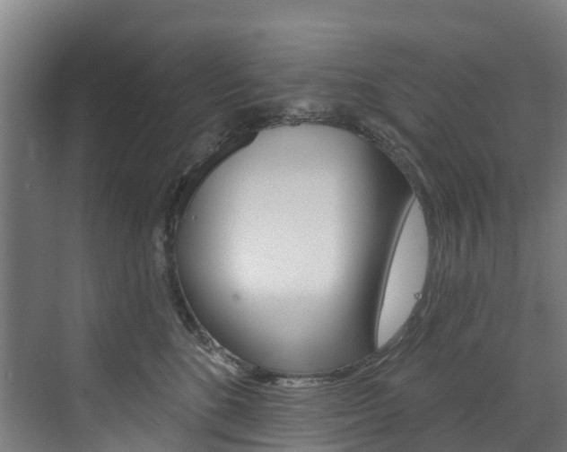 X0000073400520200607280938