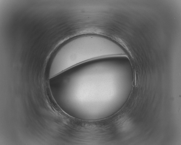 X0000073400531200607280937