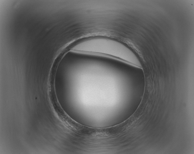 X0000073400536200607280937