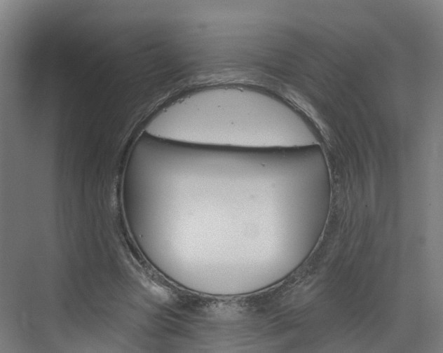 X0000073400537200607280937