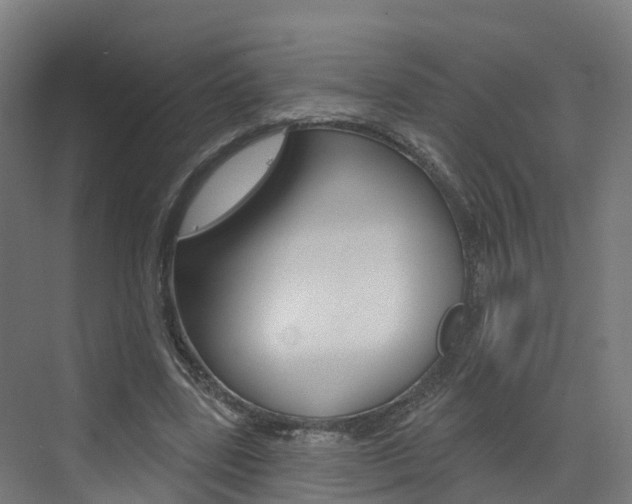 X0000073400539200607280937