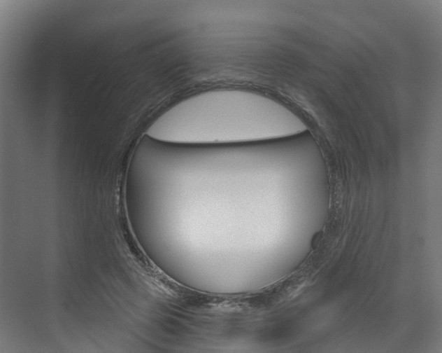 X0000073400545200607280937