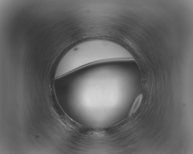 X0000073400548200607280937
