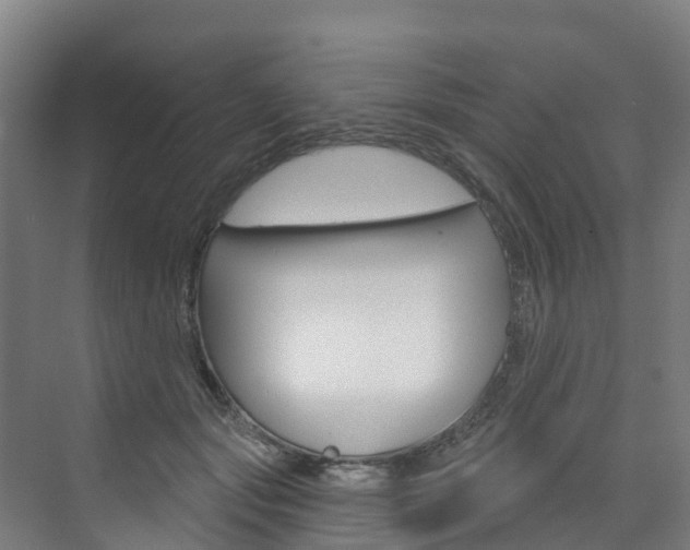X0000073400557200607280937