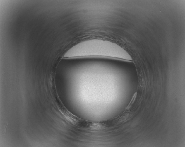X0000073400562200607280938