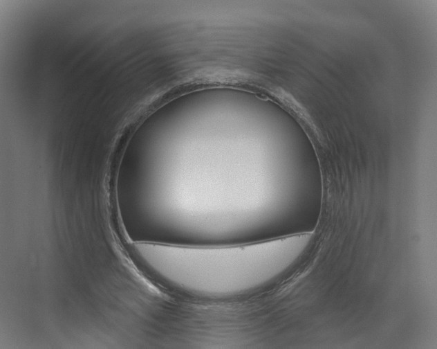 X0000073400581200607280937