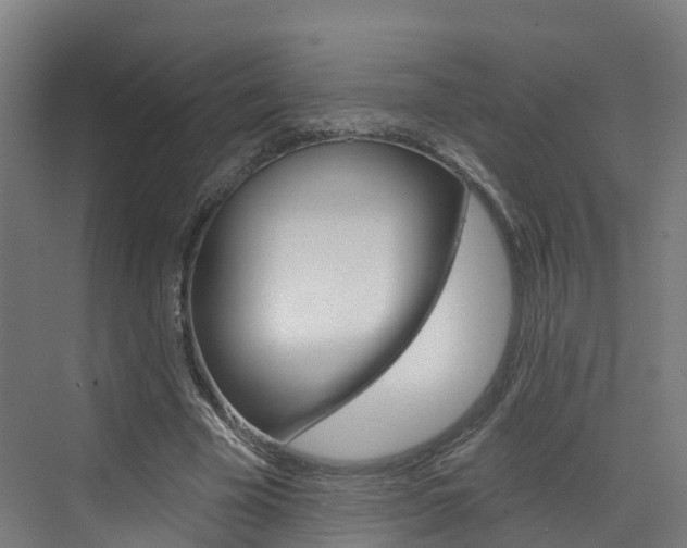 X0000073400585200607280937