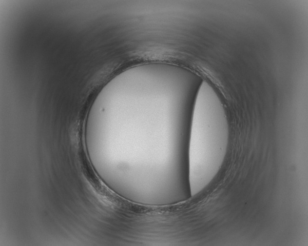 X0000073400586200607280937
