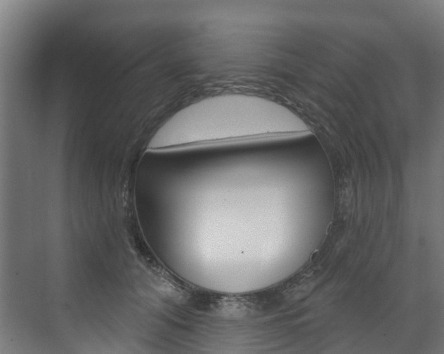 X0000073400608200607280936