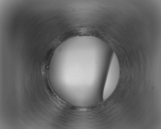 X0000073400611200607280936