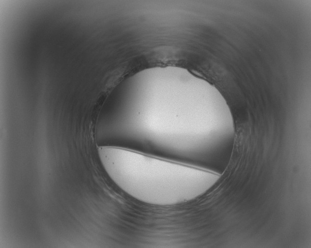 X0000073400623200607280936