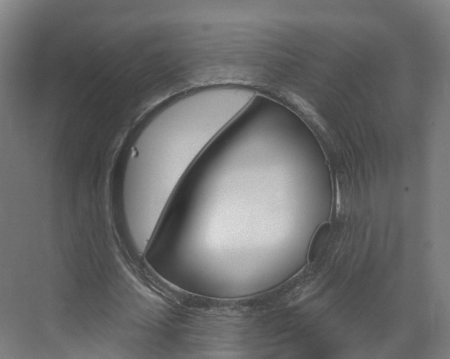 X0000073400627200607280935