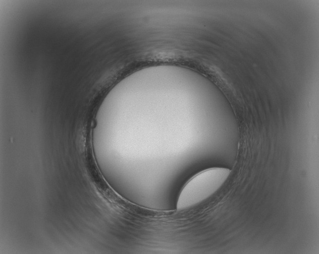 X0000073400640200607280936
